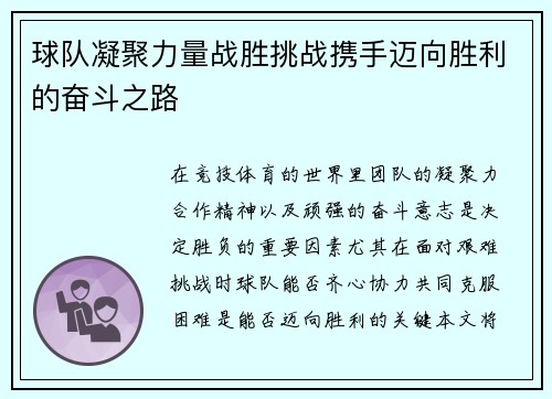 球队凝聚力量战胜挑战携手迈向胜利的奋斗之路