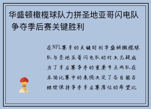 华盛顿橄榄球队力拼圣地亚哥闪电队 争夺季后赛关键胜利